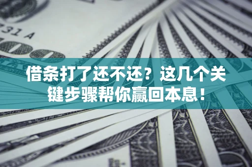 武汉借条打了还不还？这几个关键步骤帮你赢回本息！