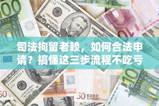 武汉司法拘留老赖，如何合法申请？搞懂这三步流程不吃亏！