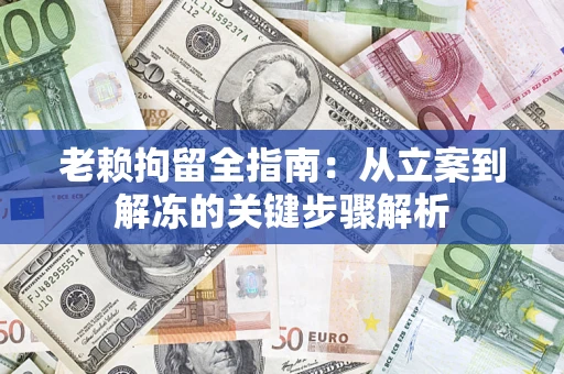 武汉老赖拘留全指南：从立案到解冻的关键步骤解析