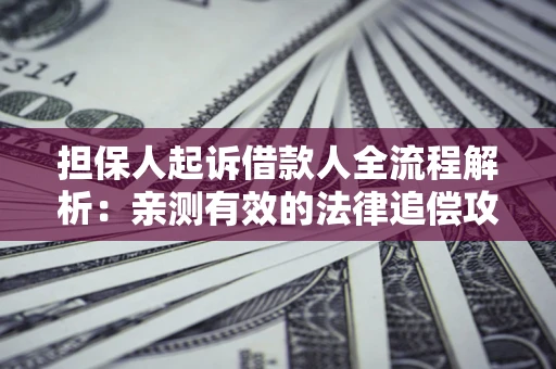 武汉担保人起诉借款人全流程解析：亲测有效的法律追偿攻略