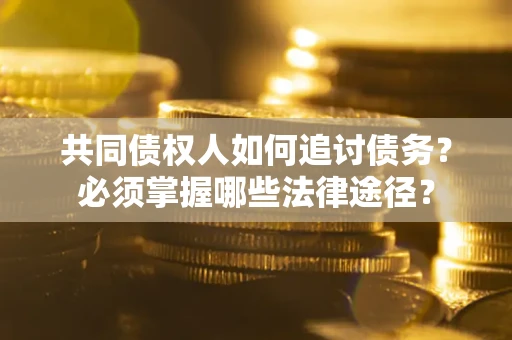 武汉共同债权人如何追讨债务？必须掌握哪些法律途径？