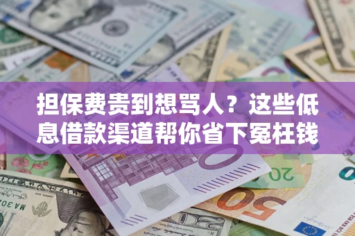 武汉担保费贵到想骂人？这些低息借款渠道帮你省下冤枉钱