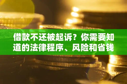 武汉借款不还被起诉？你需要知道的法律程序、风险和省钱技巧